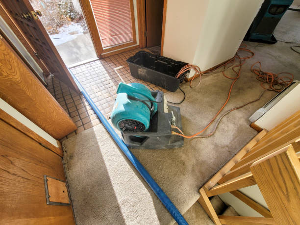 Best Water damage contractors near me  in Verona, PA