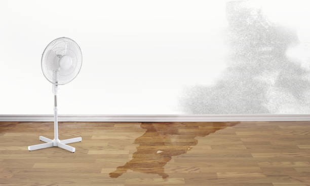 Water damage restoration mold remediation in Verona, PA