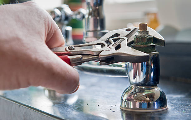Best Mold removal after water damage  in Verona, PA