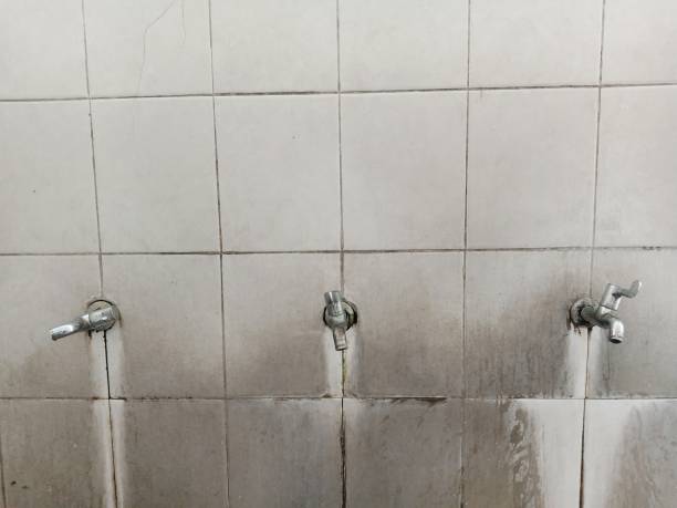 Best Local water damage restoration  in Verona, PA